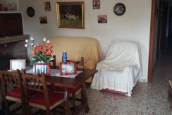 IMG-20190116-WA0019
