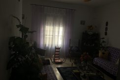 IMG_1300