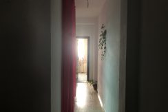 IMG_1301