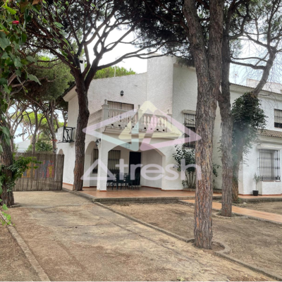 Imagen1