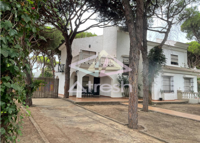 Imagen1