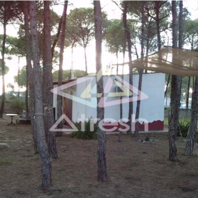 Imagen1