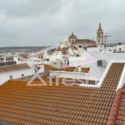 Imagen11
