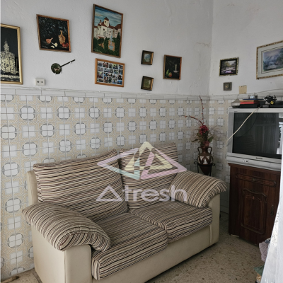 Imagen15