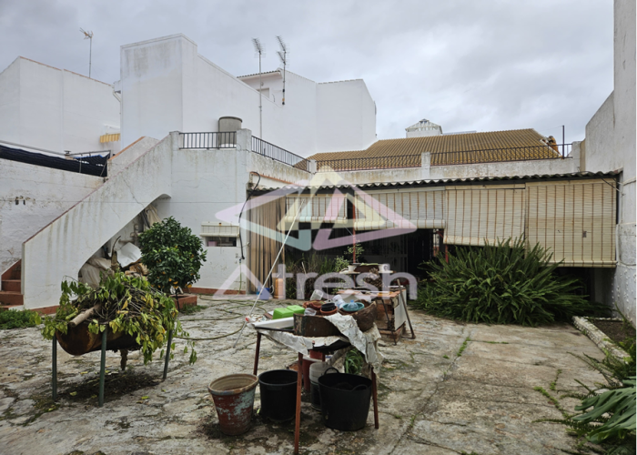 Imagen5